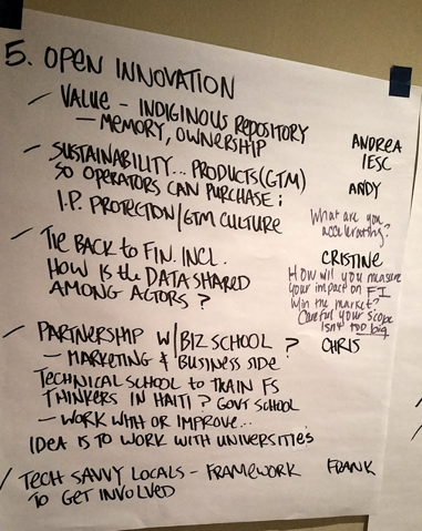 haiti model canvas